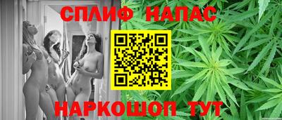 СК Рязань