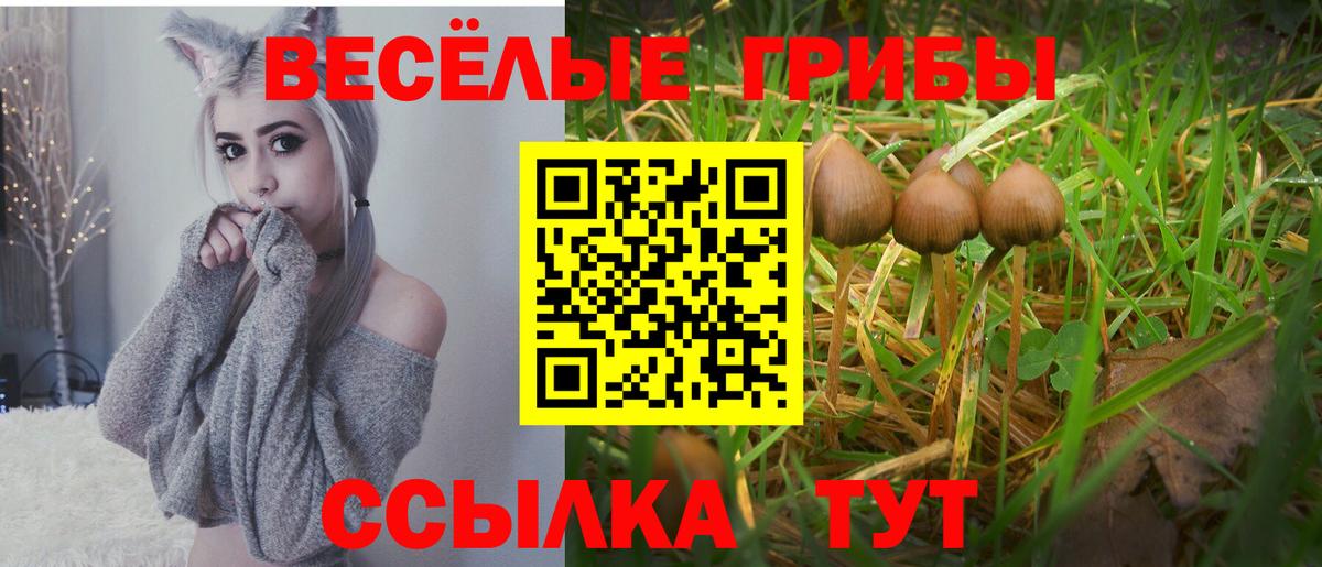 Галлюциногенные грибы прущие грибы Астрахань